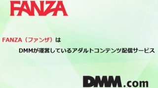 FANZA（ファンザ）の解説-1